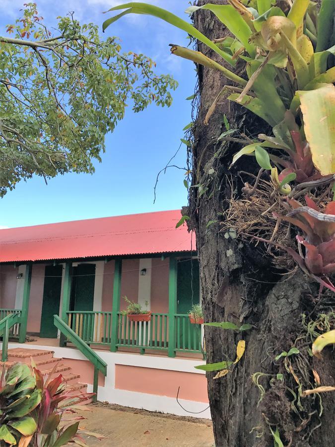 ホテル Hacienda Juanita Maricao エクステリア 写真